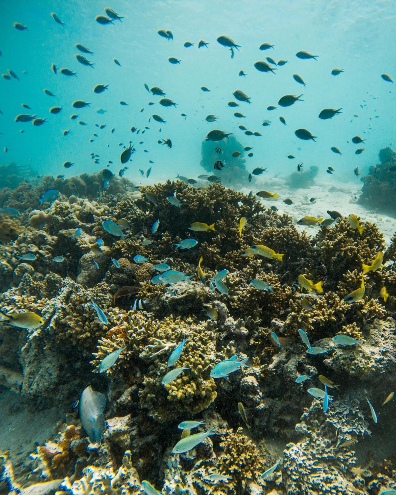Grand Park Kodhipparu Maldives Hotel Baros Island Exterior foto